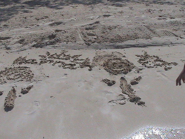 DSC00127